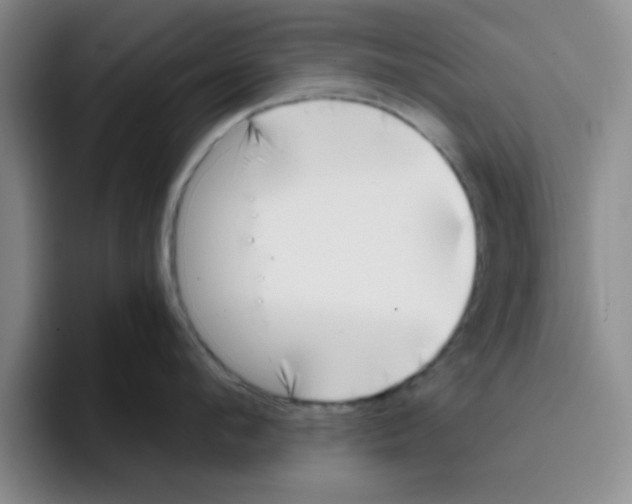 X0000096170912200802151432