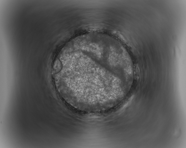 X0000096170913200802151431