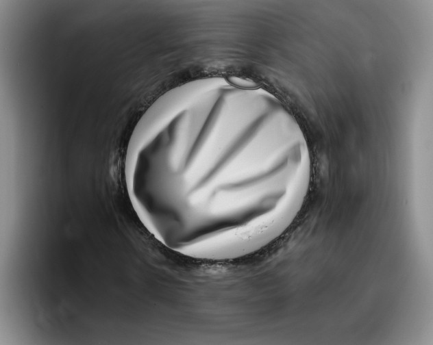X0000096170914200802151431