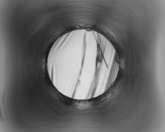 X0000096170915200802151431