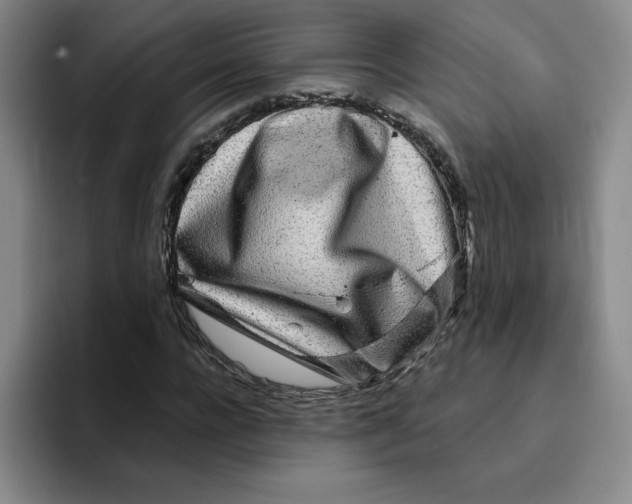 X0000096170920200802151432