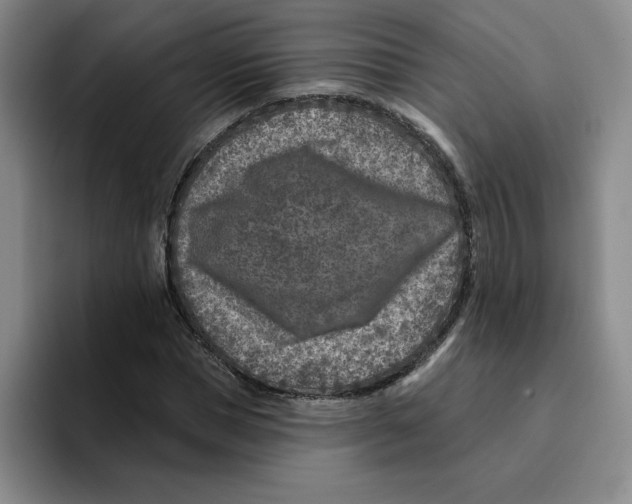 X0000096170921200802151432