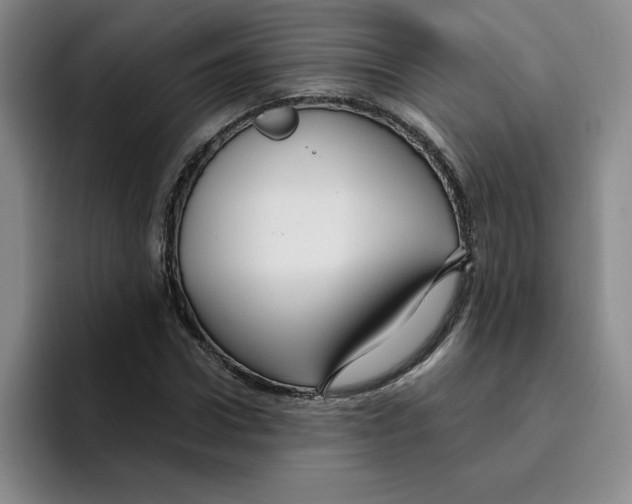 X0000096170922200802151432