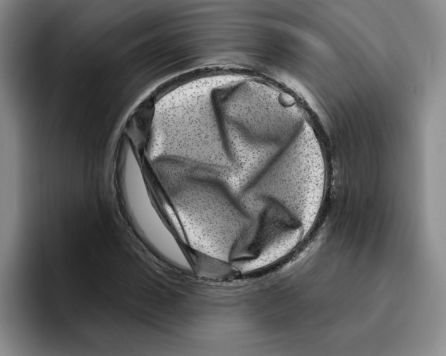 X0000096170923200802151432