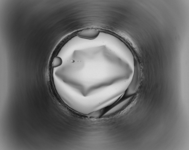 X0000096170924200802151432