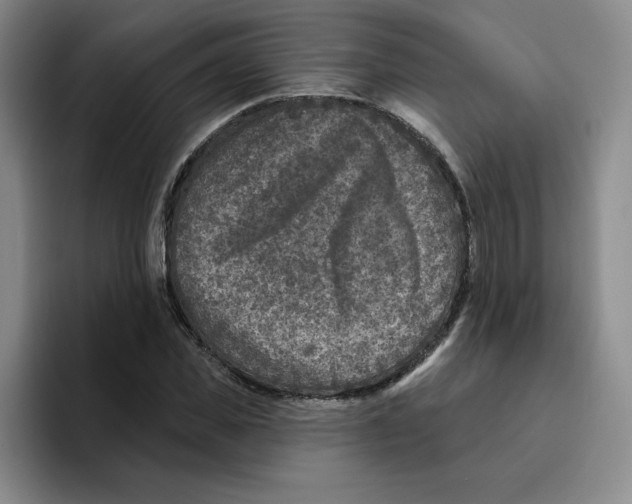 X0000096170925200802151432