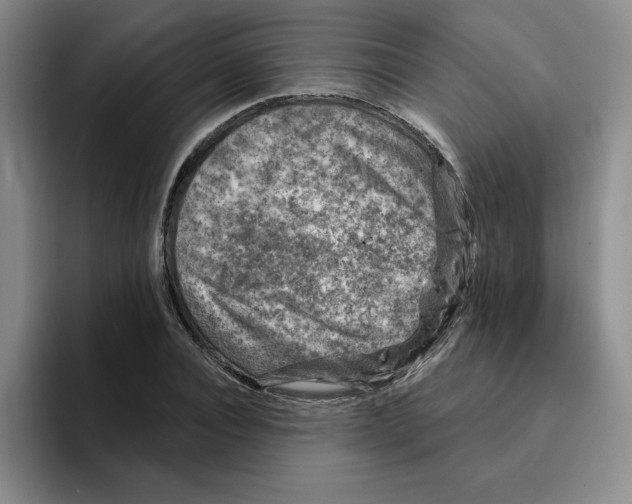 X0000096170928200802151432