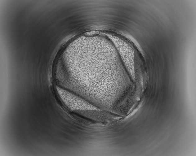 X0000096170930200802151432