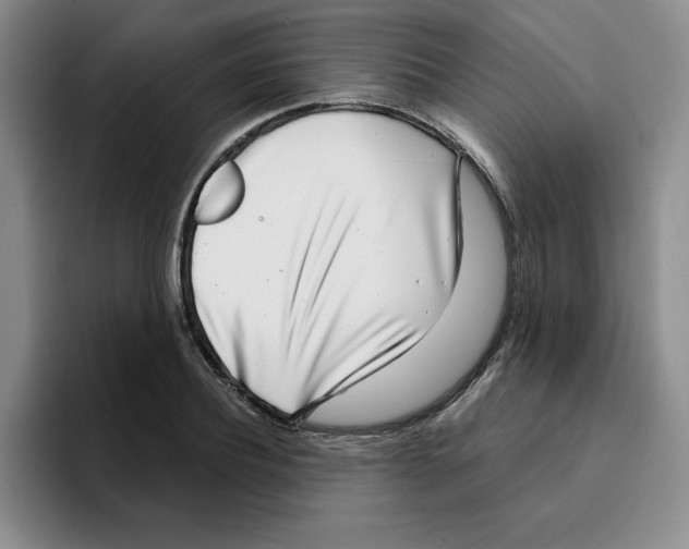 X0000096170932200802151432