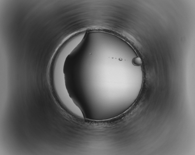X0000096170934200802151432