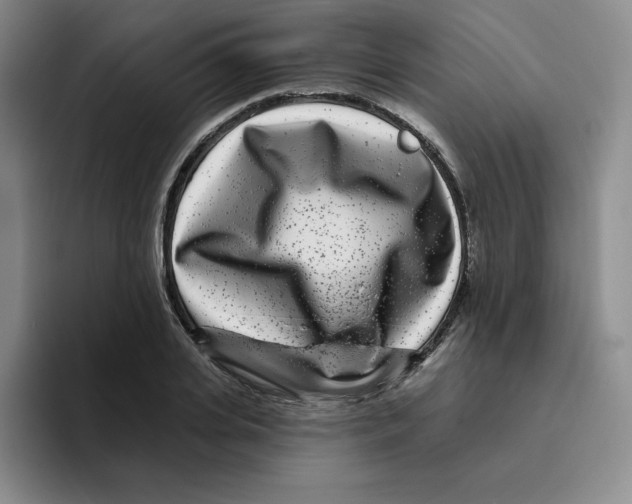 X0000096170935200802151432