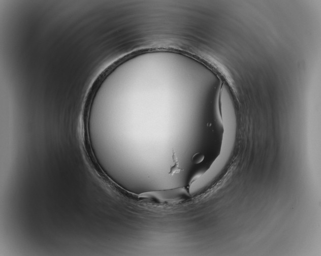 X0000096170936200802151432