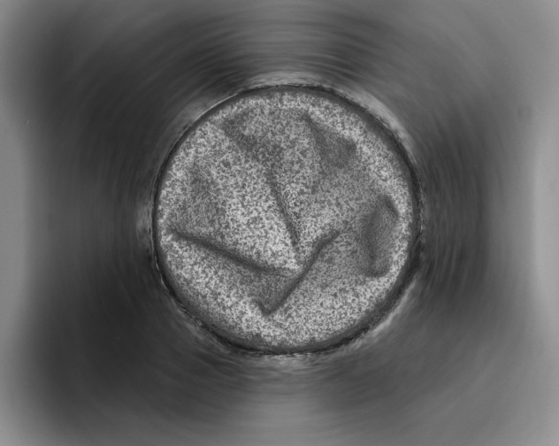 X0000096170937200802151432