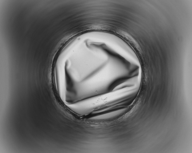 X0000096170938200802151432