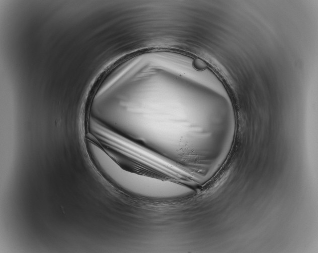 X0000096170939200802151432