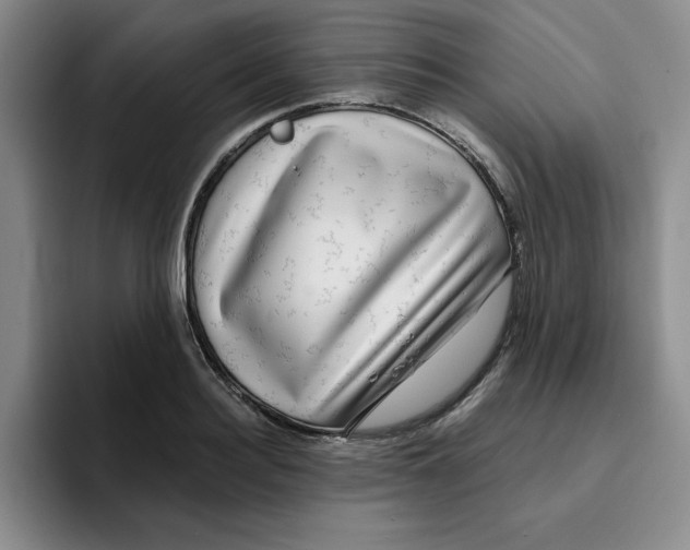 X0000096170940200802151432