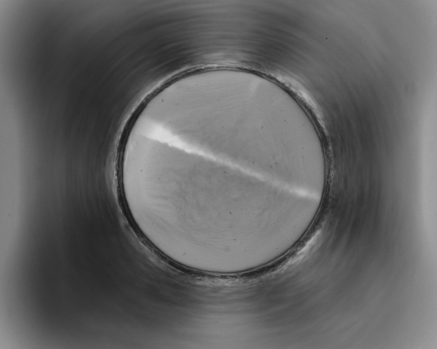 X0000096170941200802151432