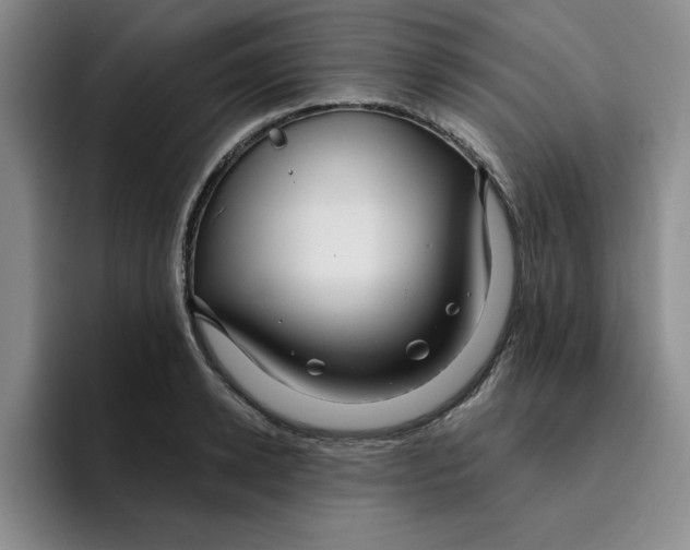 X0000096170942200802151432