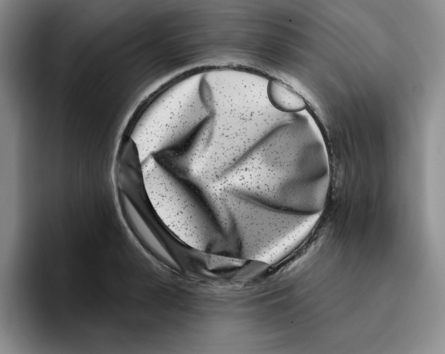 X0000096170943200802151432