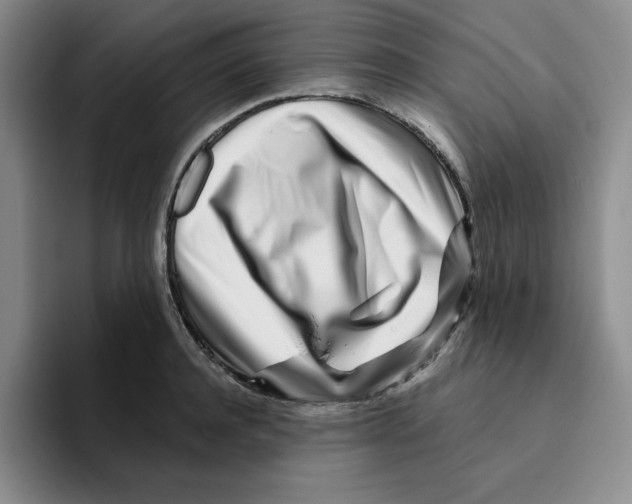 X0000096170944200802151432