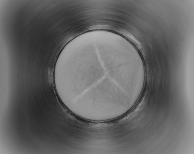 X0000096170945200802151432