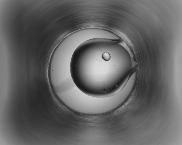 X0000096170946200802151432