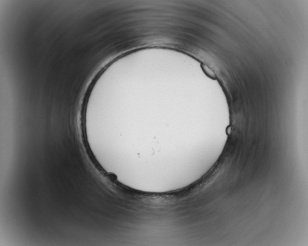 X0000096170947200802151432