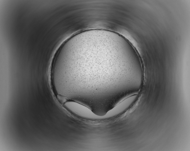 X0000096170949200802151432