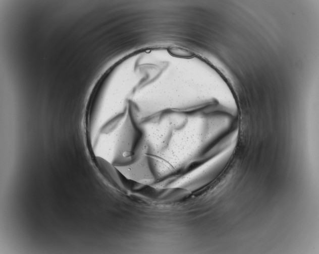 X0000096170951200802151432