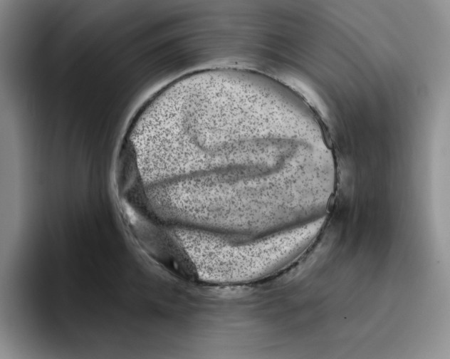 X0000096170952200802151432