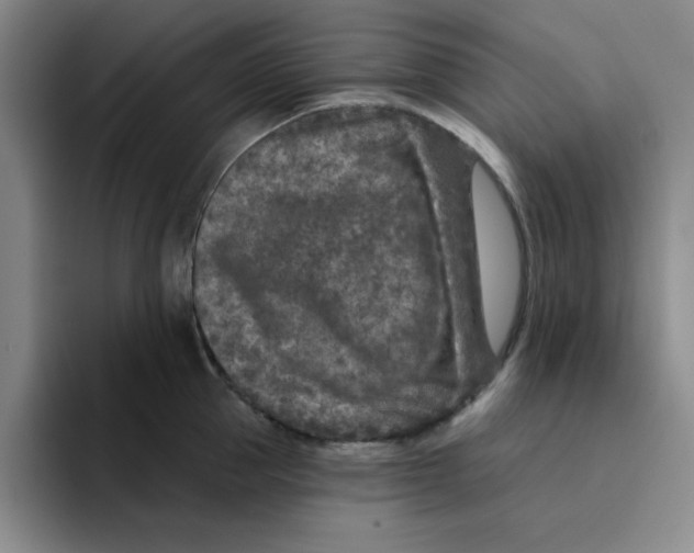 X0000096170953200802151432