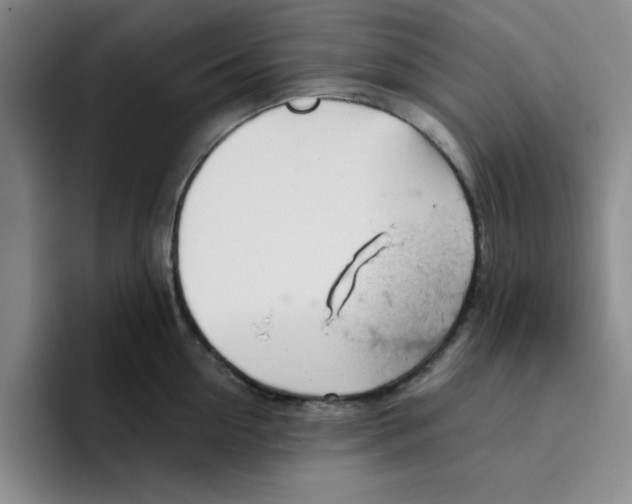X0000096170954200802151432