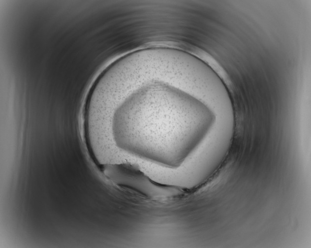 X0000096170955200802151432