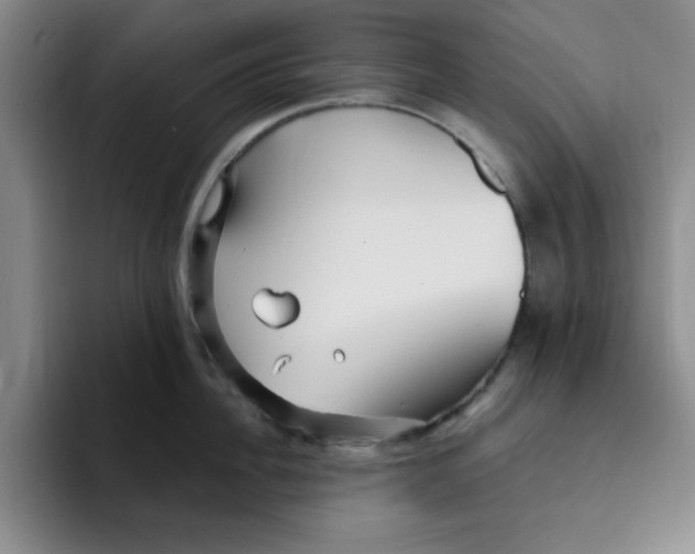 X0000096170956200802151432