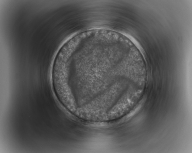 X0000096170957200802151432