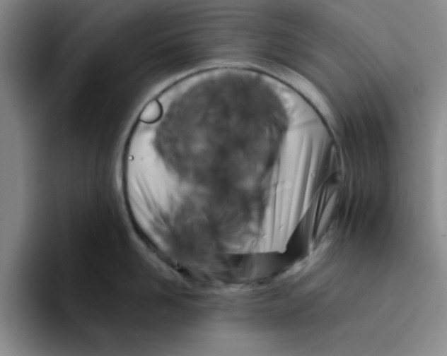 X0000096170958200802151432