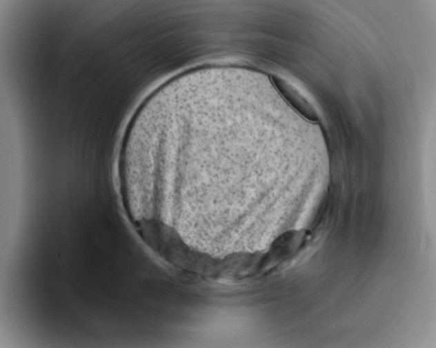 X0000096170959200802151432
