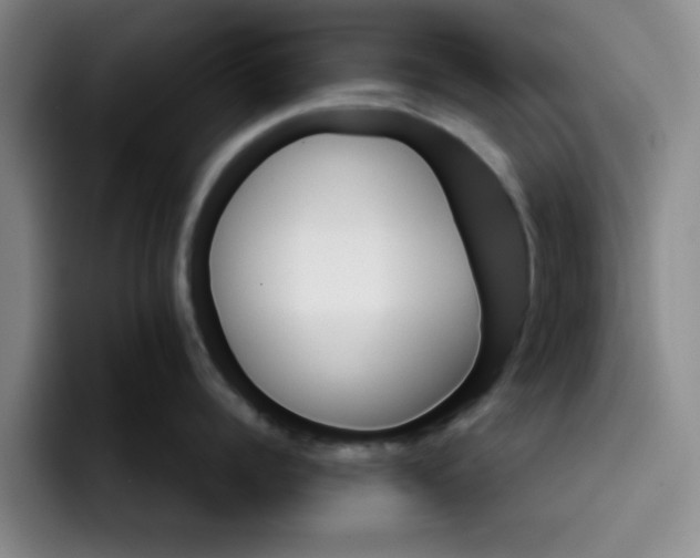 X0000096170960200802151432