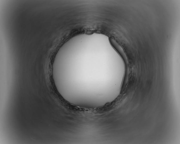 X0000096170961200802151431