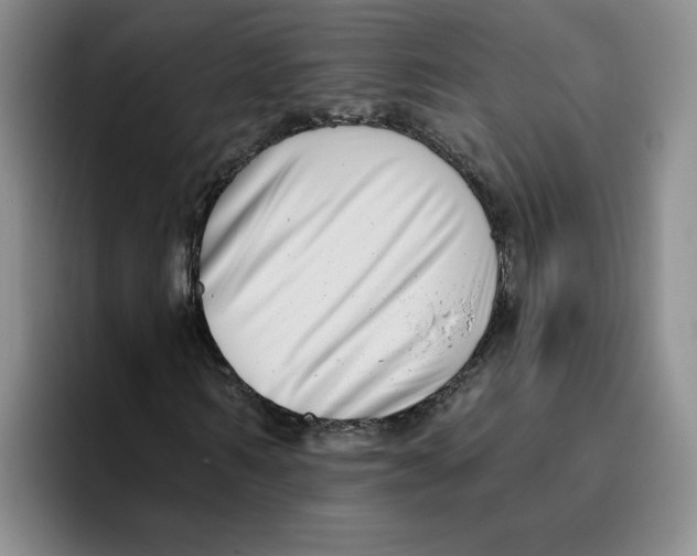 X0000096170962200802151431