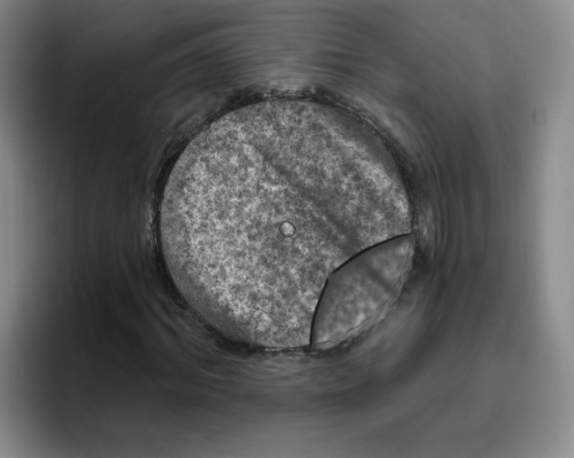 X0000096170964200802151431