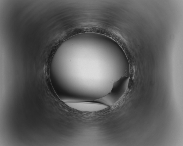 X0000096170965200802151431