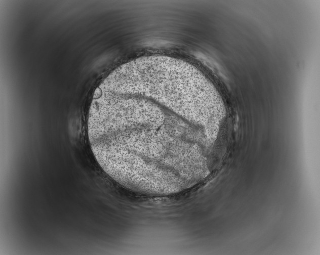X0000096170966200802151431