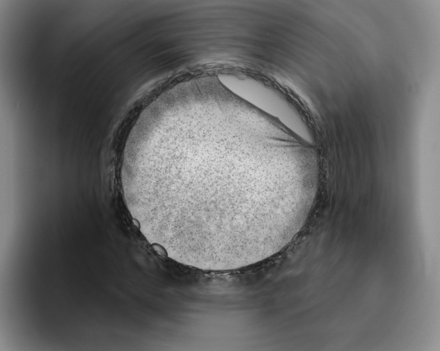 X0000096170968200802151431