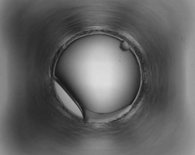 X0000096170969200802151431