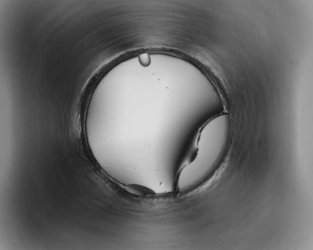 X0000096170973200802151431