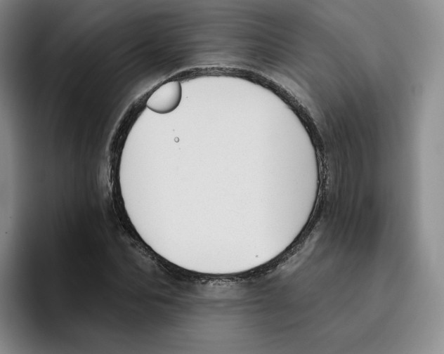 X0000096170974200802151431
