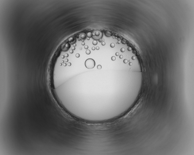 X0000096170976200802151431