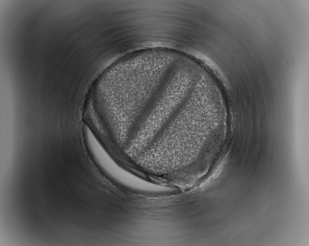 X0000096170977200802151431