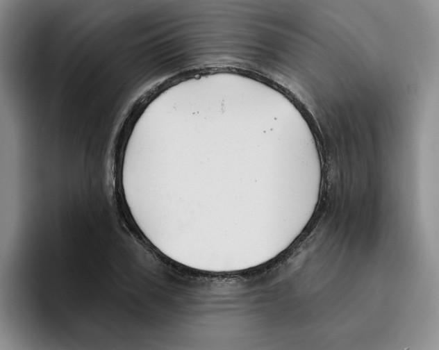 X0000096170979200802151431